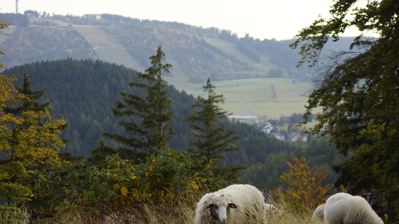 AreaSummer5KM AreaSummer5KM